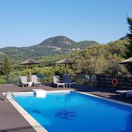 Diogenis Parga Studios Exterior foto