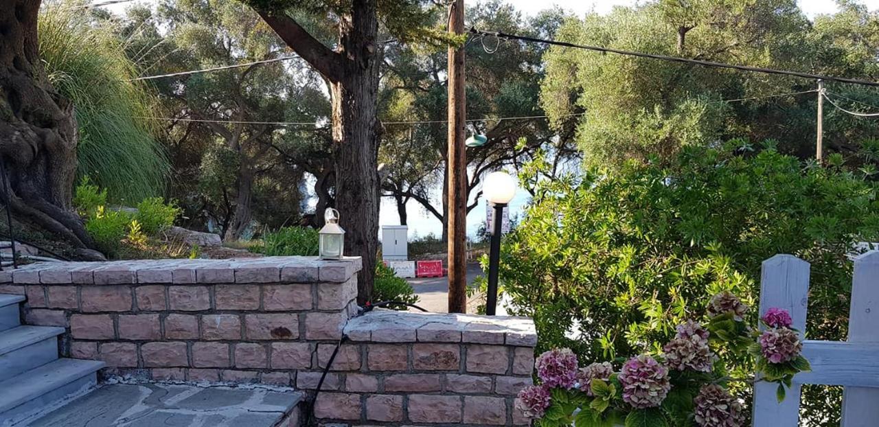 Diogenis Parga Studios Exterior foto