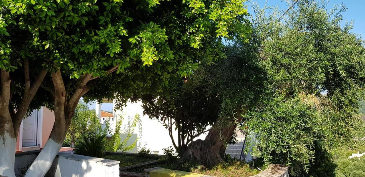 Diogenis Parga Studios Exterior foto
