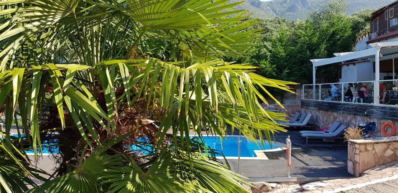 Diogenis Parga Studios Exterior foto