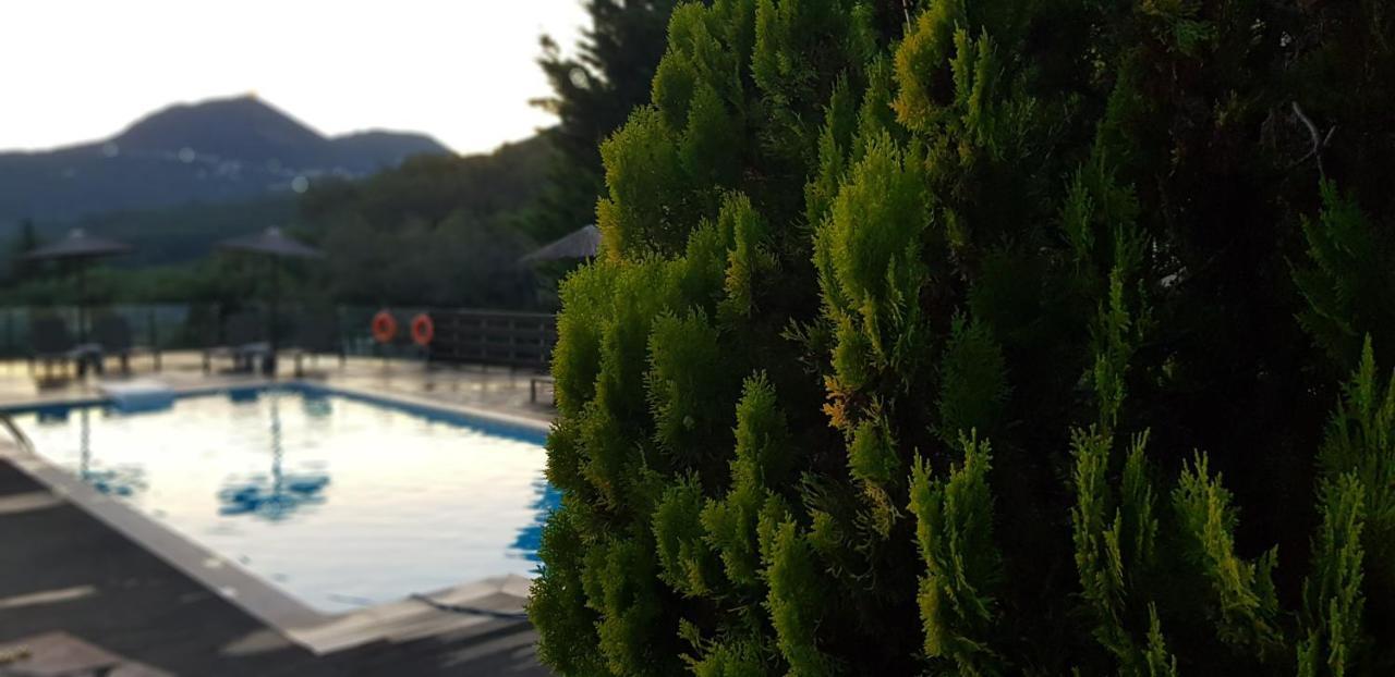 Diogenis Parga Studios Exterior foto